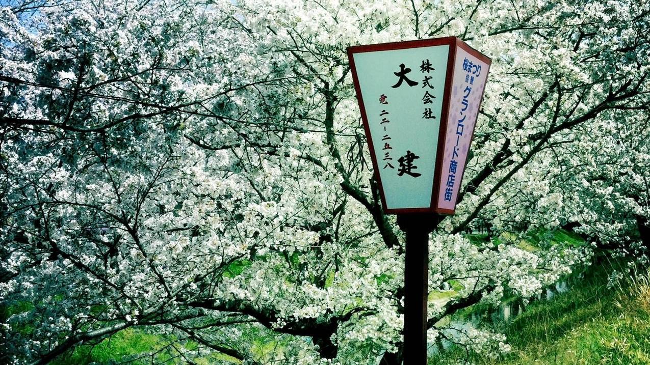 快手24h自助推广下单平台-抖音赞自助平台24小时服务-抖音24小时点赞服务平台